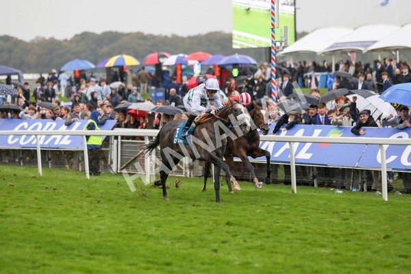 121024-Race 5-Almeric-7319 - Race 5 3.55pm Coral Racing Club EBF Maiden Stakes