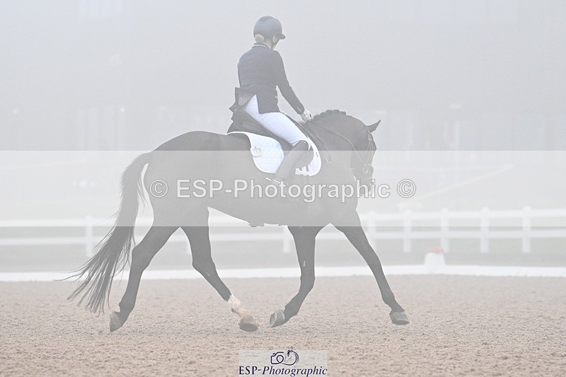 240217A-102736-01369 - 140-Mandy.Day-Nikki-Vajaps