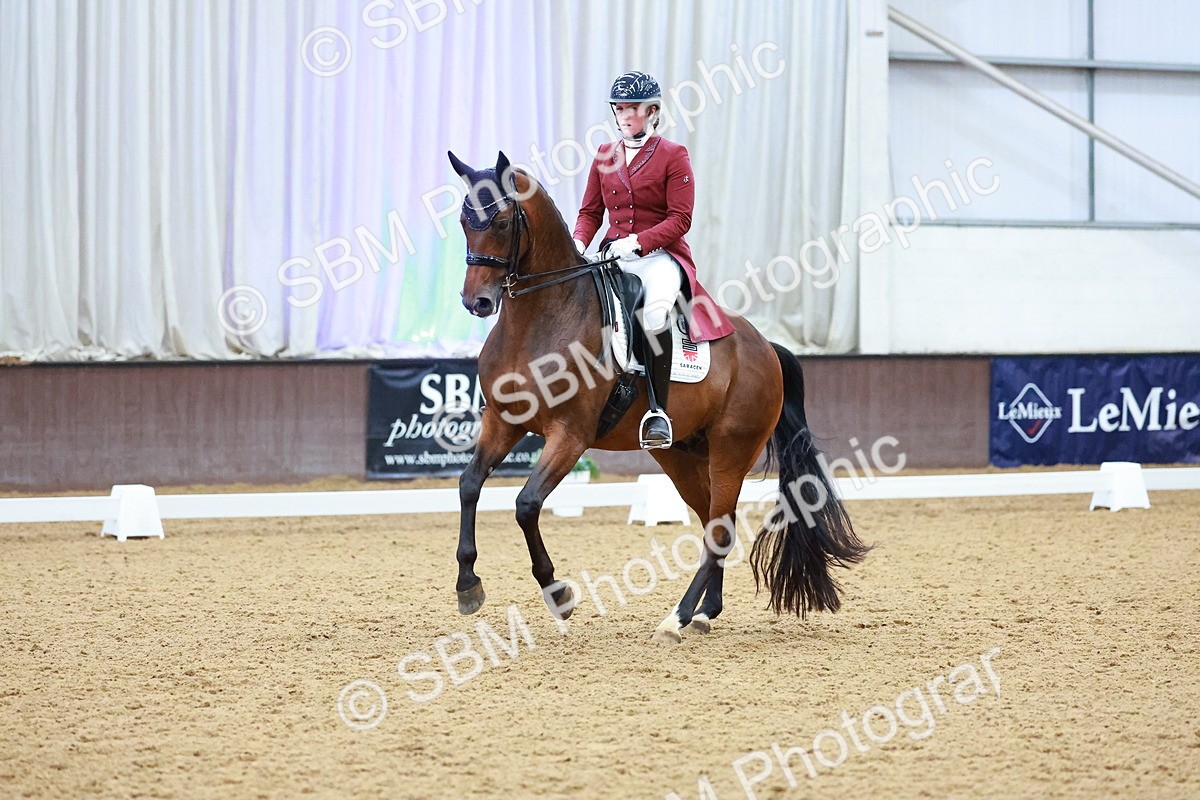 SBM_006129_Class 7 - FEI INT I - Ellie