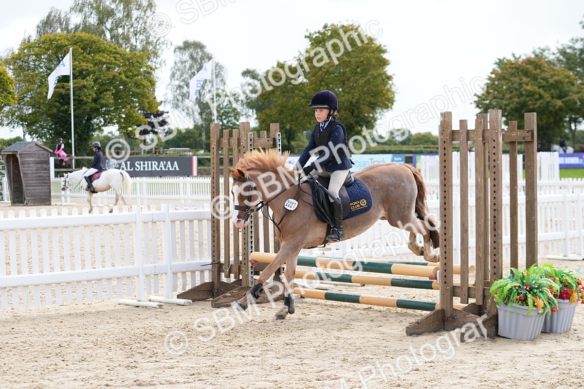 SBM_40741 - Supreme Championship Pony 50-55cm