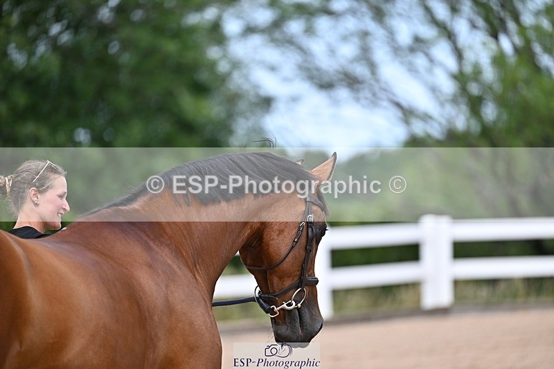 250716-131129-00390 - Trot Up 12.30 to 1.30