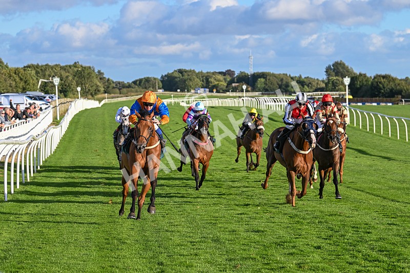 100924-Race 8-Homer Stokes-0868 - Race 8