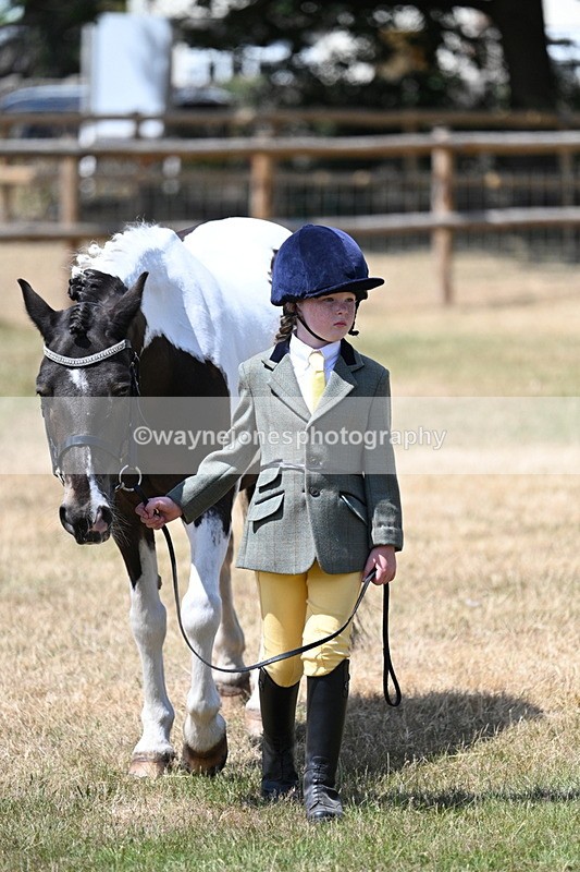 WJ7_2234 - Class 5 Most Handsome Gelding (up to 14.2hh) in hand