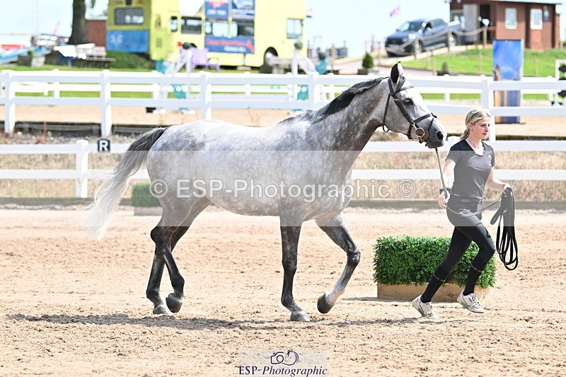 240717A-150909-02584 - Trot Up 3pm to 4pm
