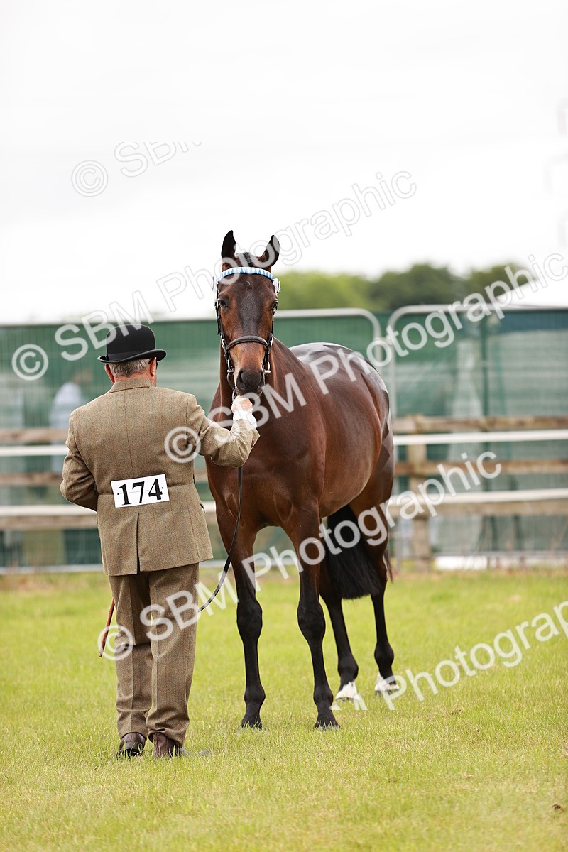 SBM_04775 - Class 35-38 Riding Horse Breeding