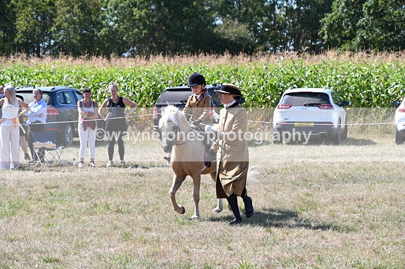 WJ6_8065 - Class 36 Lead Rein