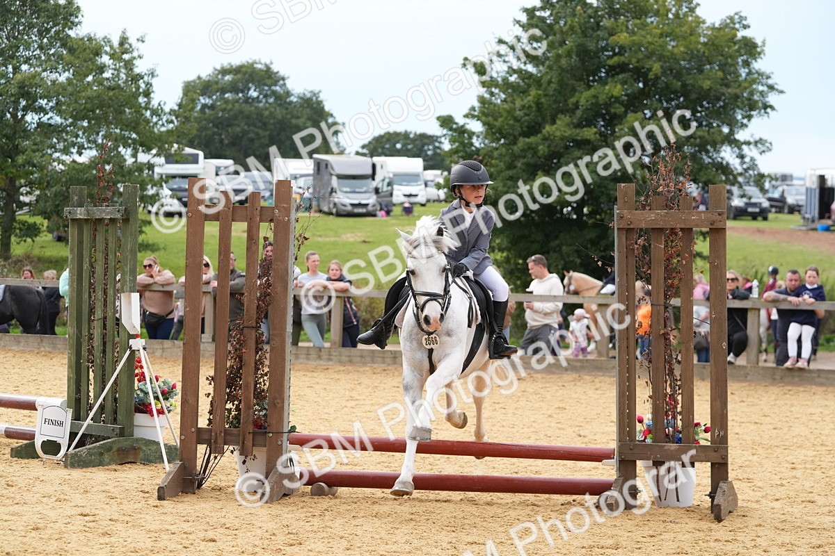 SBM_70645 - J3 - Mini Tour Junior Pony 40cm Championship