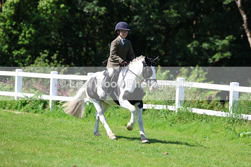 3E7A6743 - Working Hunter Pony Championship