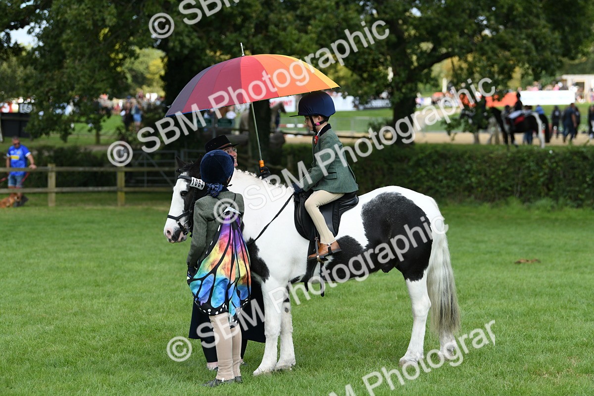 SBM_46999 - S12 - Family Horse & Pony