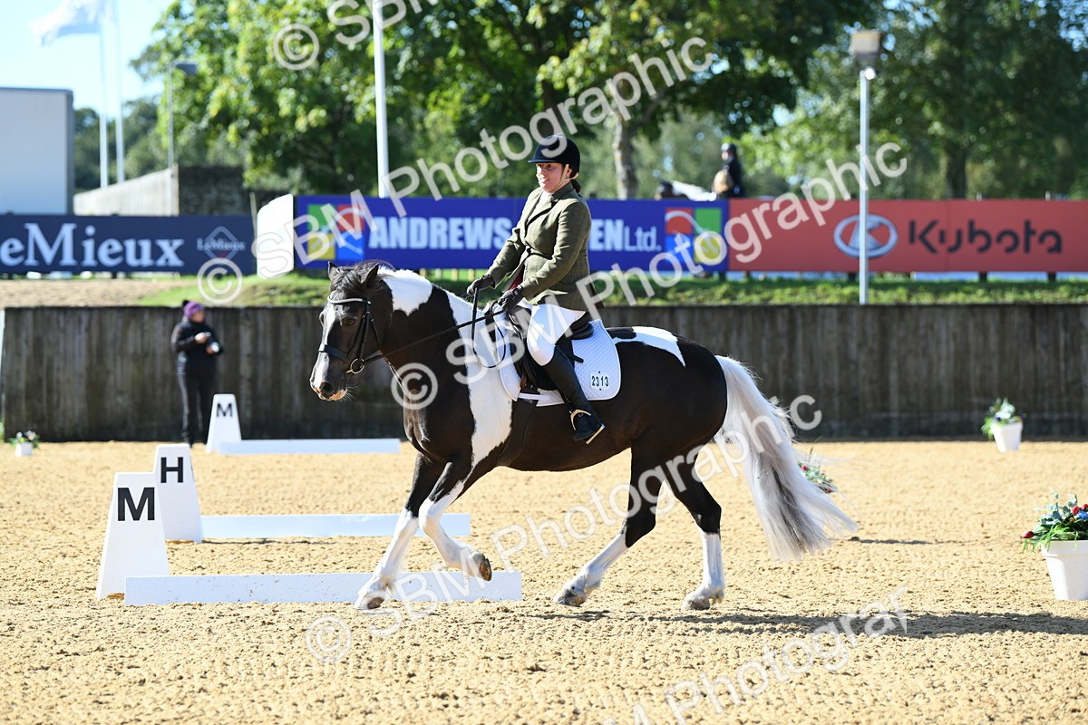 SBM_02745 - D7 Small Tour Championship Prelim 1