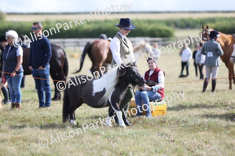 20250831-1511 - Class 21 - Inhand Open