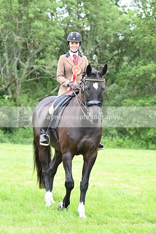WJ7_4353 - Class 14A Handsome Gelding