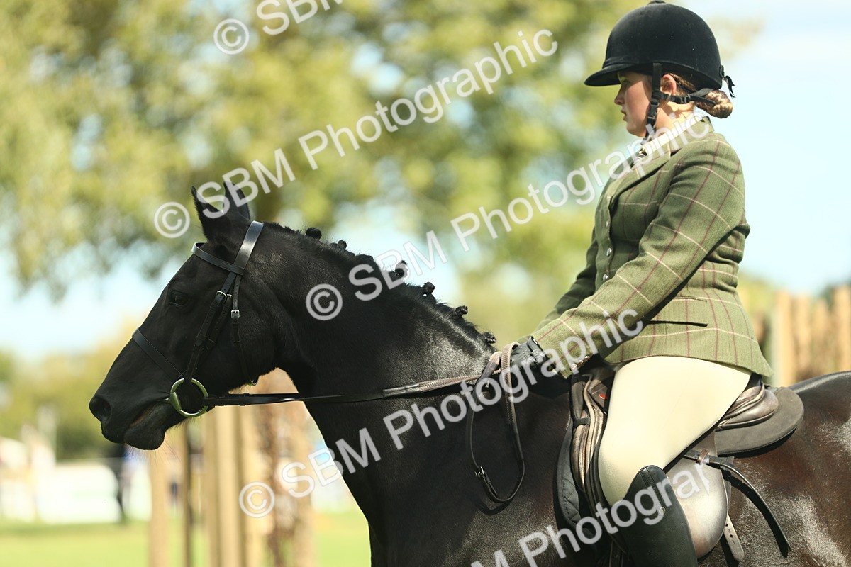 SBM_42078 - S29 - Novice & Newcomers Working Hunter Pony