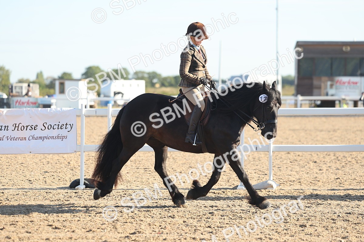 SBM_10982 - Class 302 - Ridden M&M Large Breeds