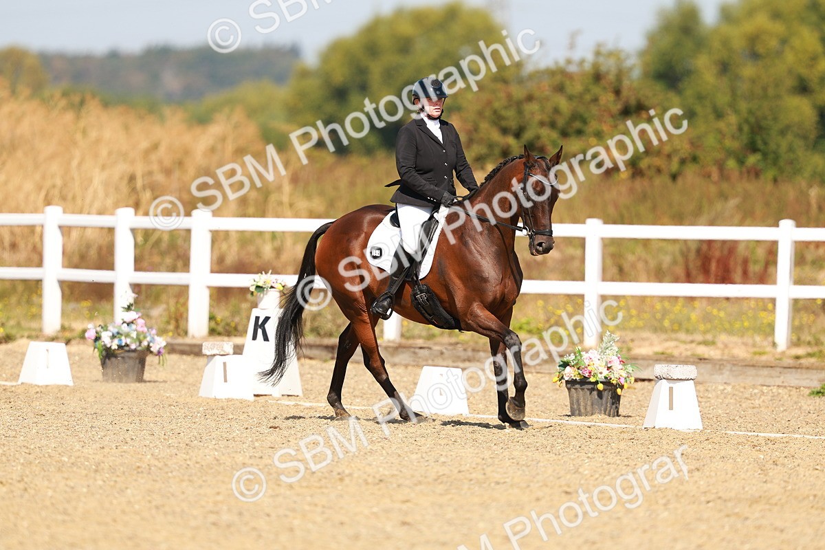 SBM_017731 - Class 9 - N5 Bronze 10.33.11.36