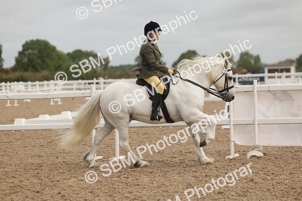 SBM_02042 - Class 14 - Ridden M&M Wildcard