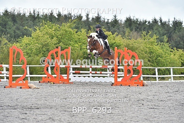 BPP_6293 - SUN CLASS 37 BR NOVICE/90CM
