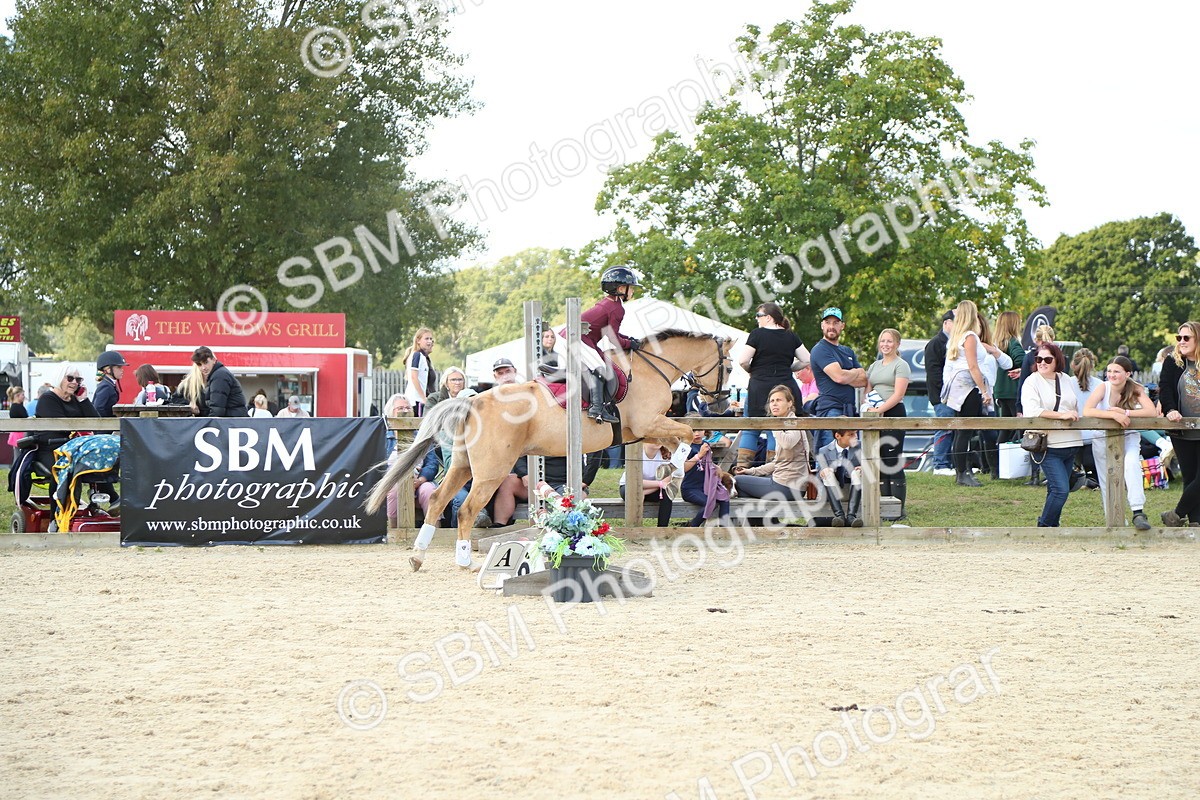 SBM_39480 - J6 - Junior Pony 55cm Championships