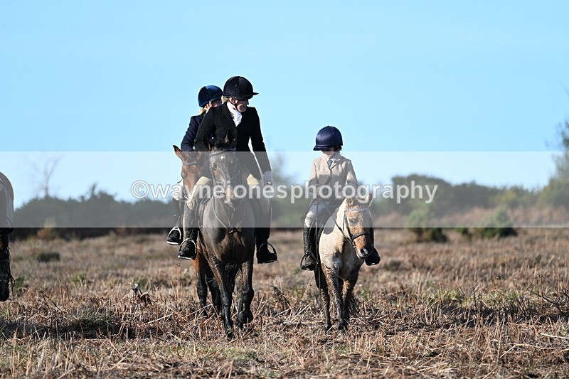 WJ7_7317 - Line 3 (no line 4 or 5)