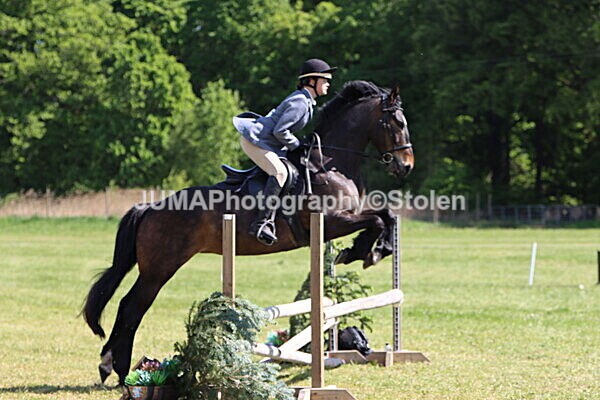 IMG_4520 - Working Hunter