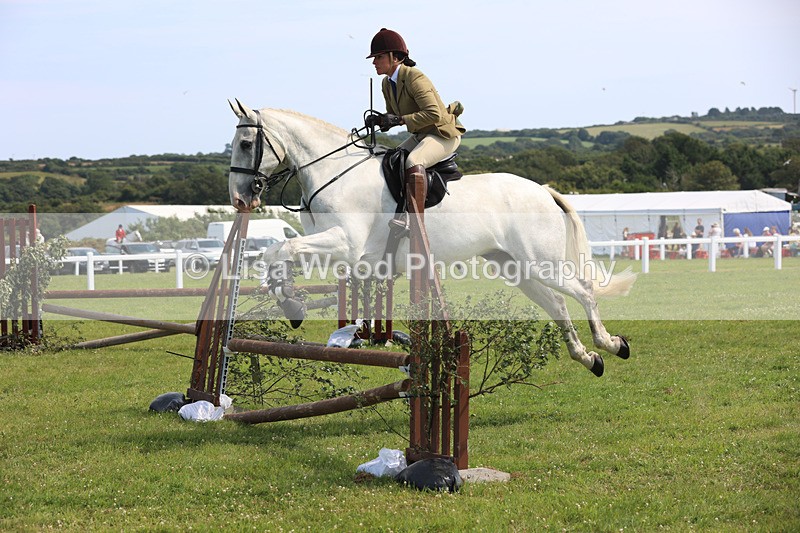 JPP_3653 - Class 23: Working Hunter 80cm