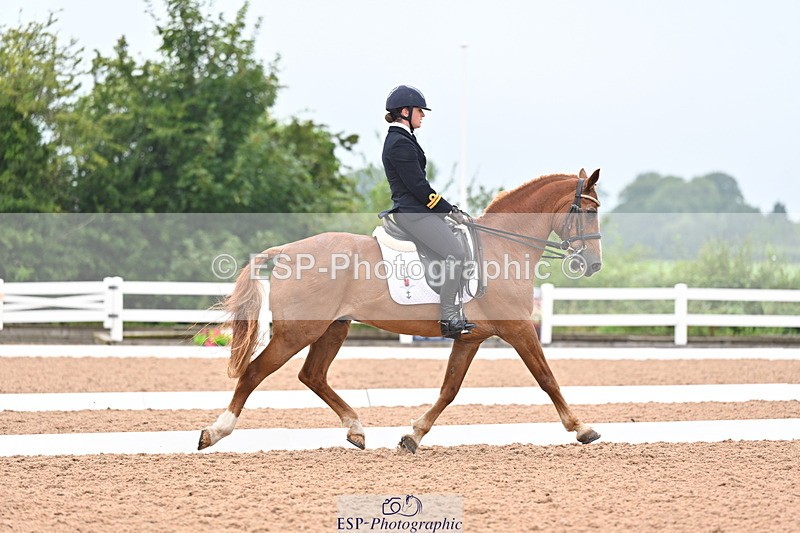 240815A-135854-01715 - 170-India.John-Grayswood.Orlando