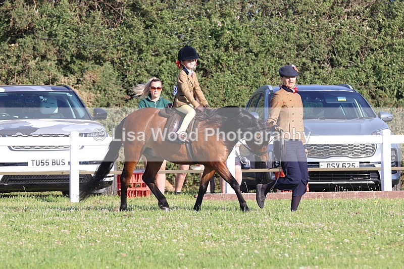 JPP_0745 - Class 16: Cornish Combination Leading Rein