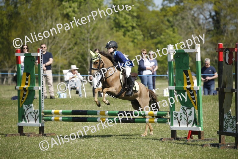 20250427-2117 - Class 13 - Novice Jumping 60cm