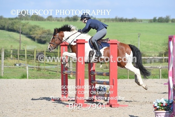 BPP_7901 - CLASS 3 Senior BritiNovice/ 90cm Open
