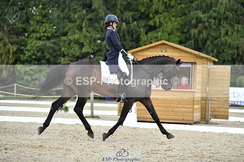 230812-143208-04725 - Cls 7 FEI PSG Bronze