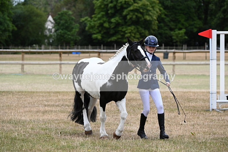 WJ6_4393 - Class 10 Coloured In-hand