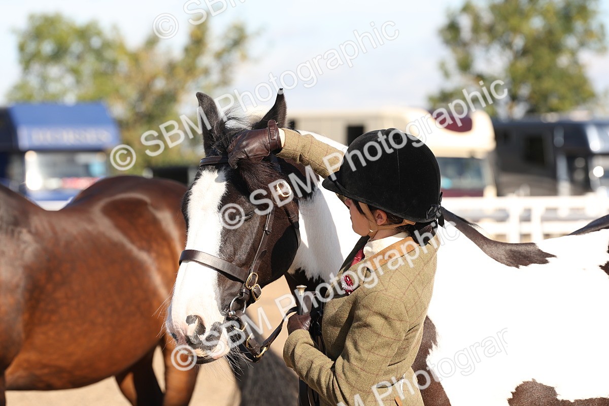 SBM_11752 - Class 204 - Young Handler 11 to 16 years