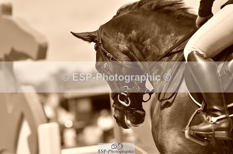 230706-133354-03111 - Cls 6 Newcomers & 1.10m Open