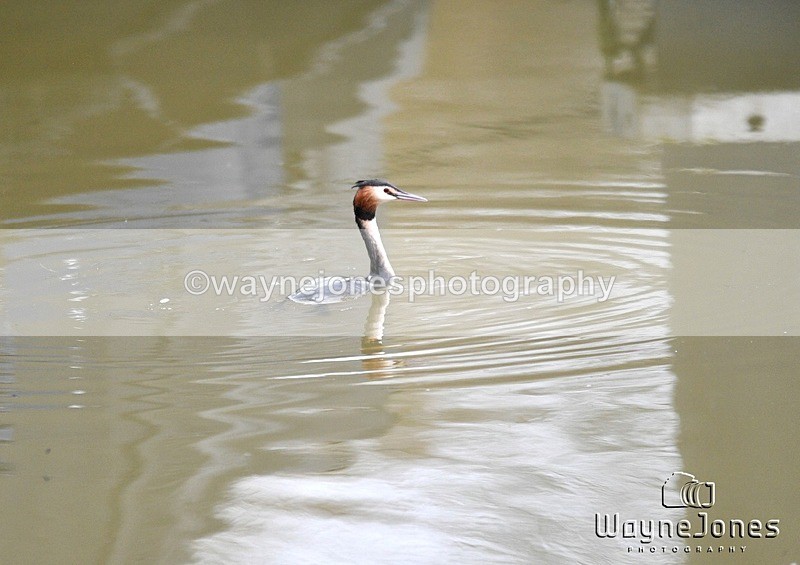 WJ5_3373 - Group 3 11am to 12