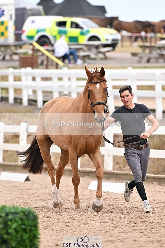 250716-155210-02247 - Trot Up 3.30 to 4.30