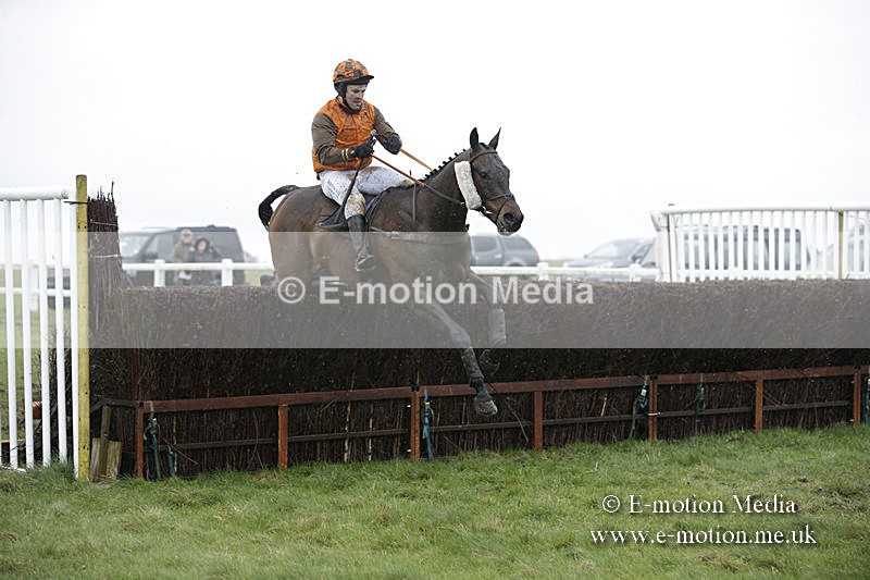 PtP 150320 0337 - New Forest Point-to-Point Larkhill 15/03/20
