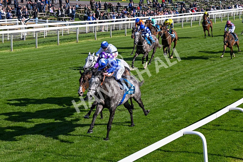 130526-Race 7-Master Builder-0443 - Race 7 5.15pm Stuey Weston & Friends Getting Out Handicap