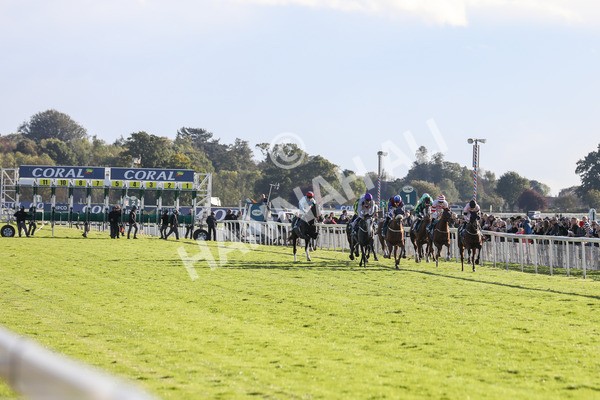 141023-Race 6-Punctuation-0568 - Race 6 4.10pm Coral Get Closer To The Action Handicap