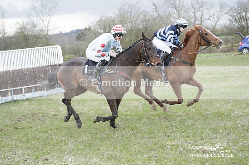 PtP 180323 981 - Shelfield Park Races with Croome & West Warwickshire Hunt  18/03/23