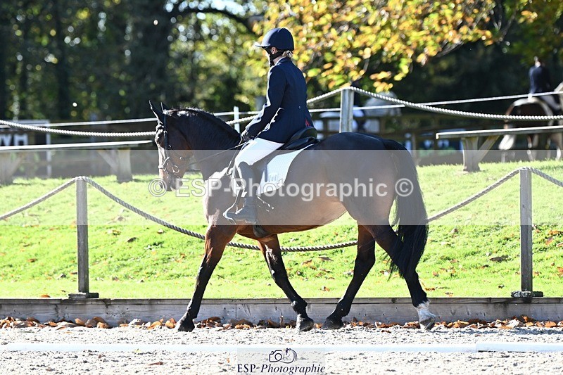 231110-122556-00687 - Cls 3 Novice 22