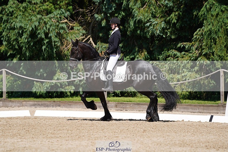 240719-145950-02470 - 274-Paige_Beattie-Orcaber_Dark_Secret