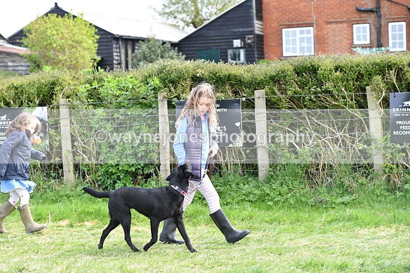 WJ5_0788 - Best in Show Championship