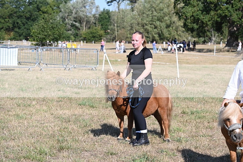 WJ6_7327 - Class 33 Rescue Pony