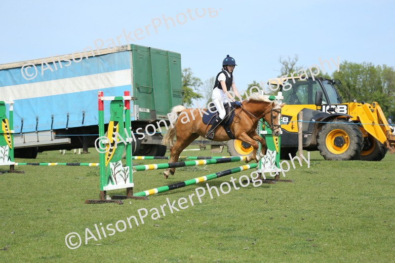 20260426-1613 - Class 14 - Novice 60cm