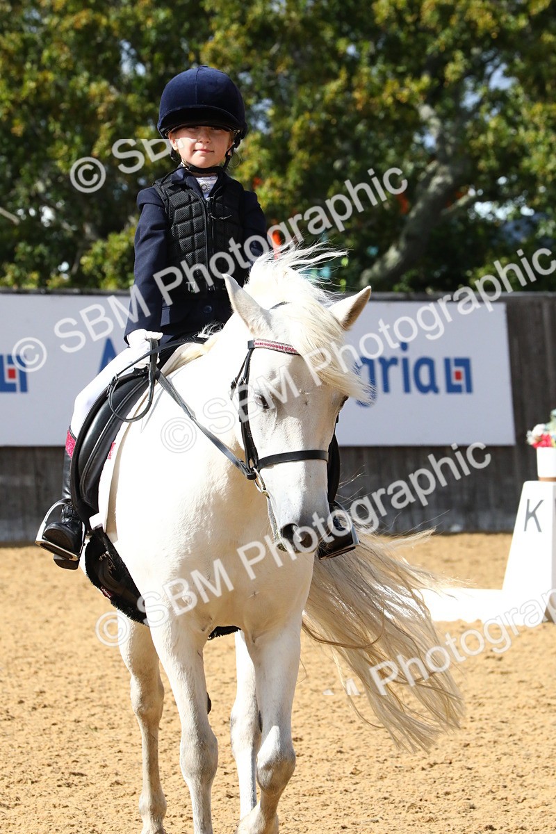 SBM_24425 - D5 - Small Tour Championshop Intro 2