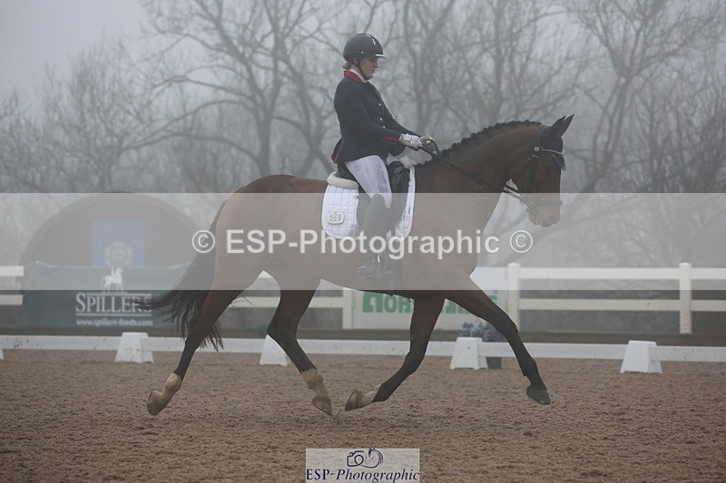 240217A-161837-04389 - 209-Charlotte.Dicker-Catherston.Tarantella