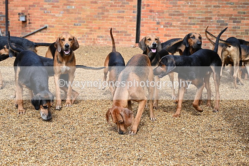 WJ7_7003 - Berks & Bucks at Blandy’s Farm 31-08-25