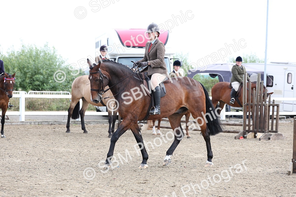 SBM_01506 - Class 52 - Ridden Veteran
