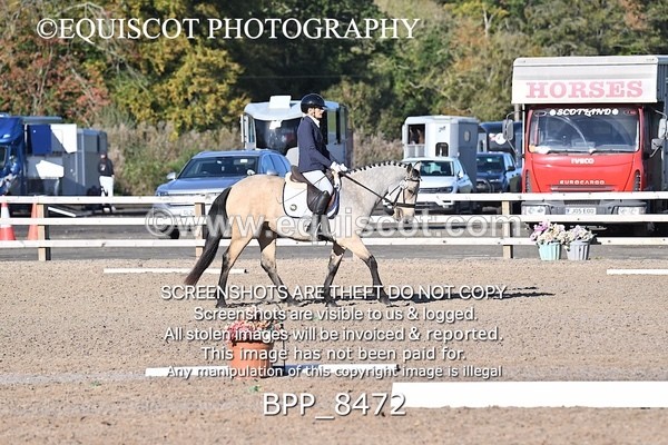 BPP_8472 - SHORT ARENA INTRO 1
