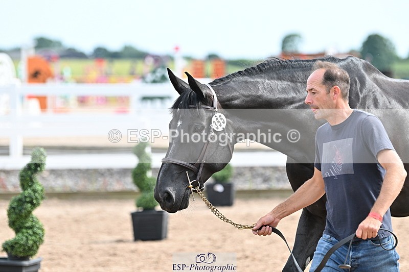 240717A-163645-03446 - Trot Up 4pm to 5pm